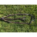 Collier de chasse T Cheval cuir élastiques Lamicell