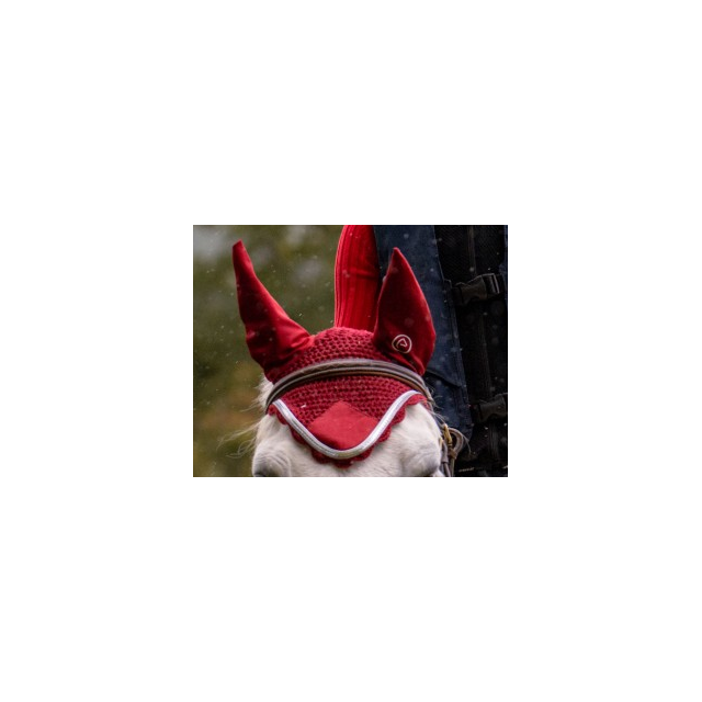 Tapis et bonnet rouge