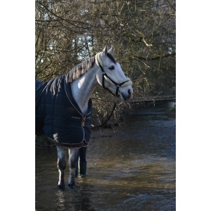 Couverture b vertigo