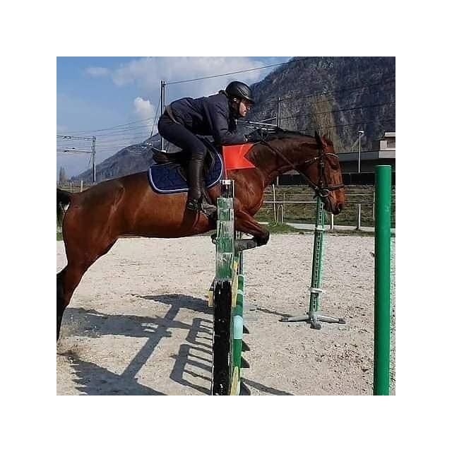 DEVOUCOUX CHIBERTA LAB