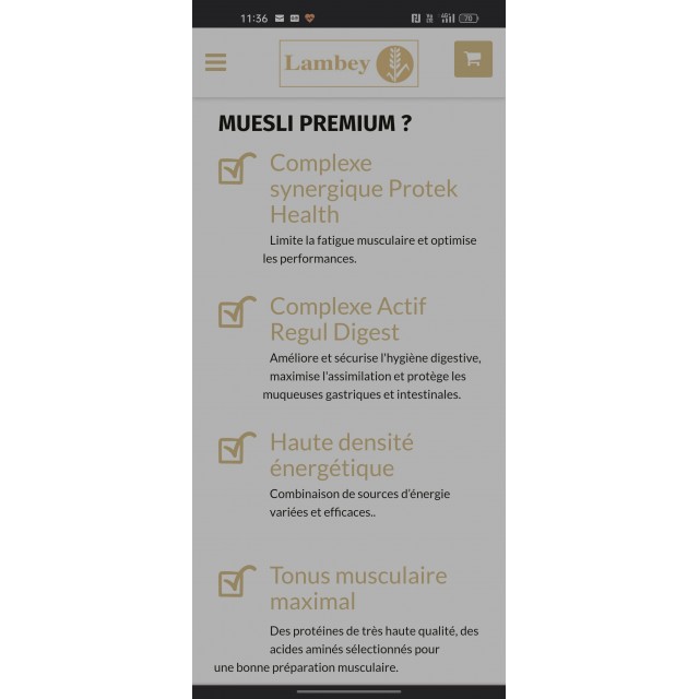Lambey Müesli Premium