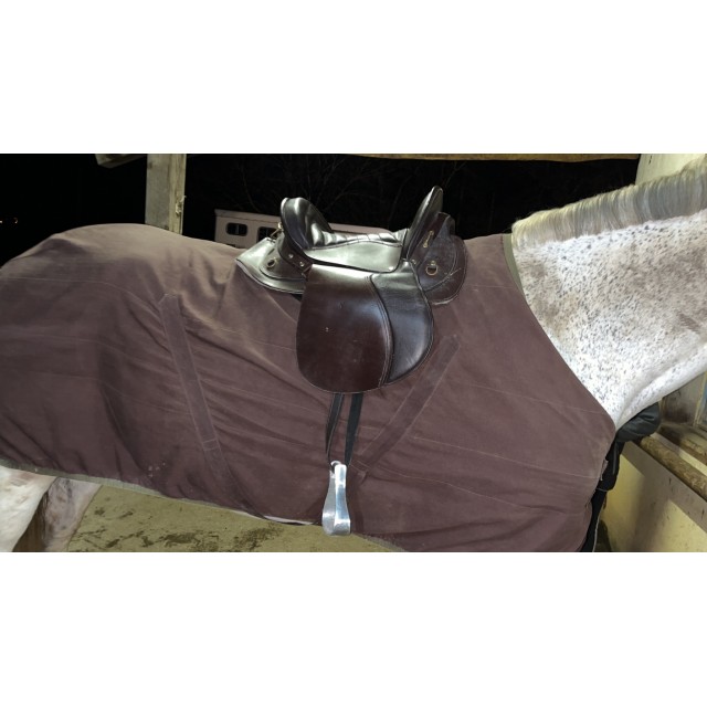 Selle australienne