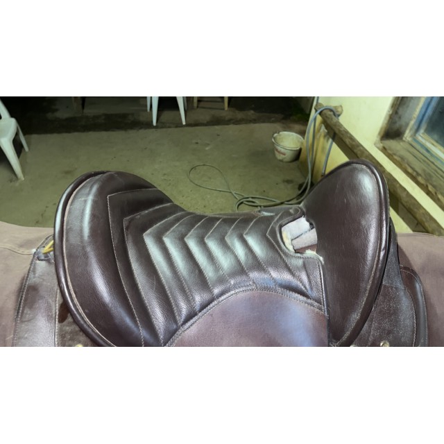 Selle australienne