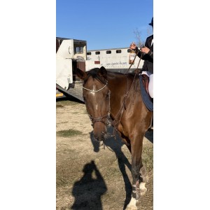 Martingale childeric