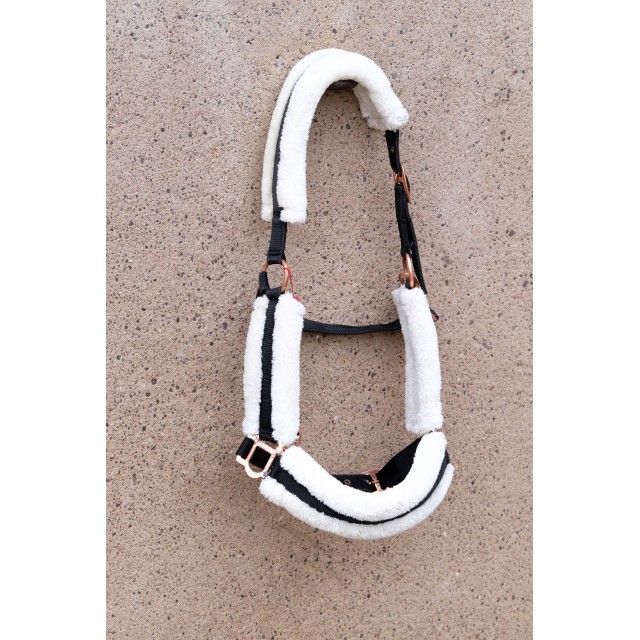 Licol Norton confort mouton synthétique
