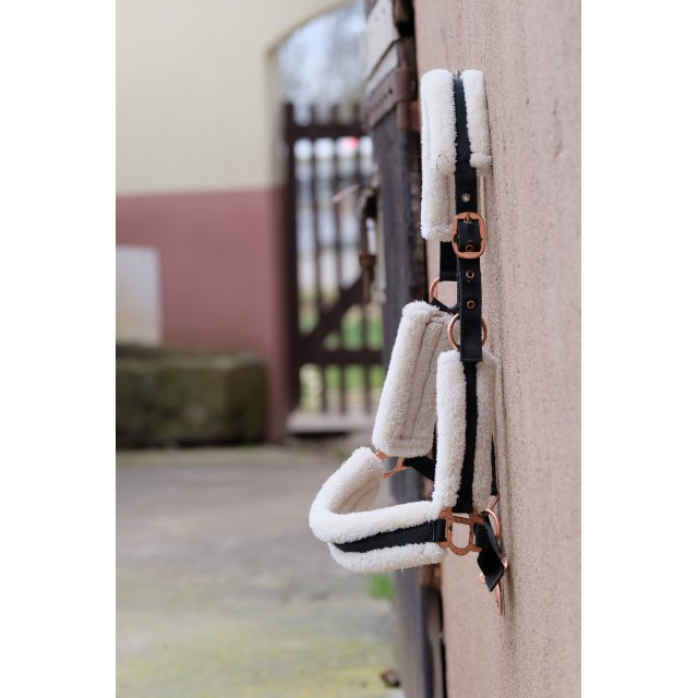 Licol Norton confort mouton synthétique