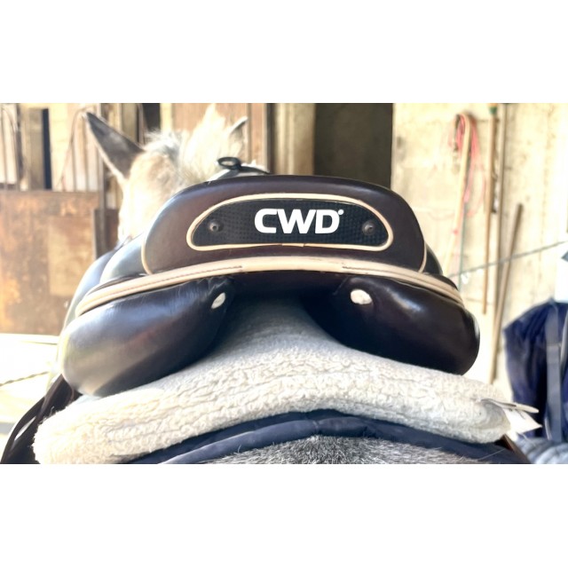 Cwd mademoiselle
