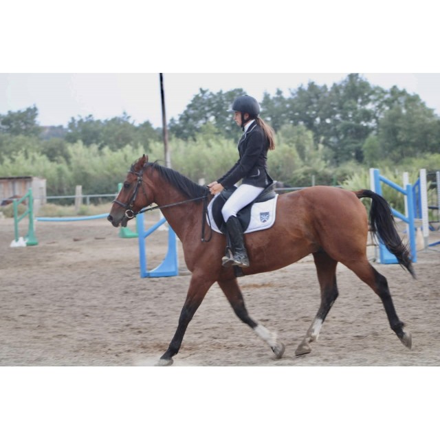 tapis concours blanc équithème
