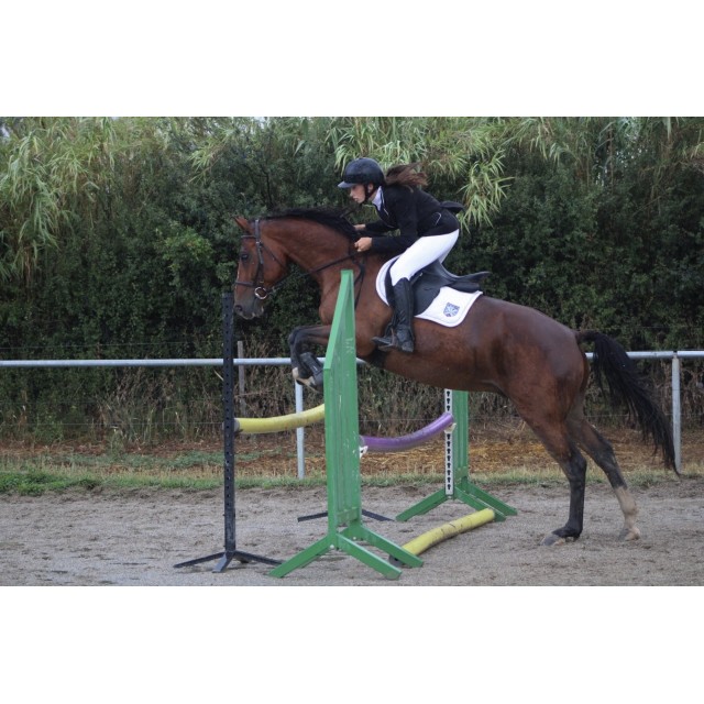 tapis concours blanc équithème