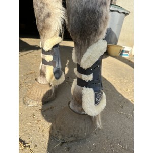 Guêtre et protège boulet Norton XTR