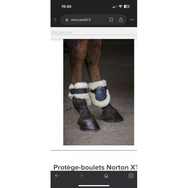 Guêtre et protège boulet Norton XTR