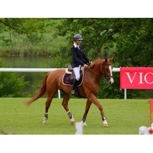 Veste GPA Grand Prix