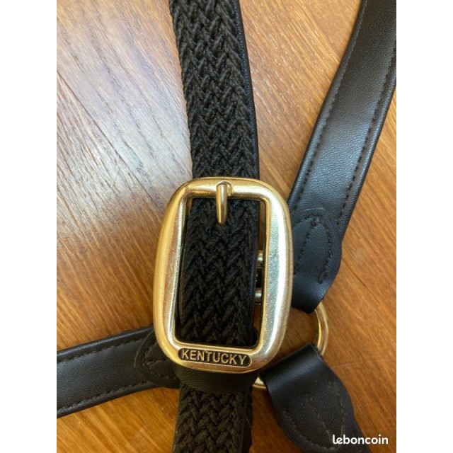 licol nylon kentucky