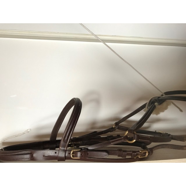 Bridon croisée time rider