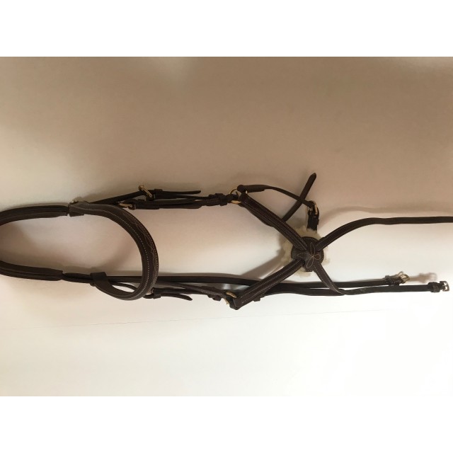 Bridon croisée time rider