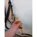Bridon/licol rando endurance ZILCO noir - jaune - rouge FULL