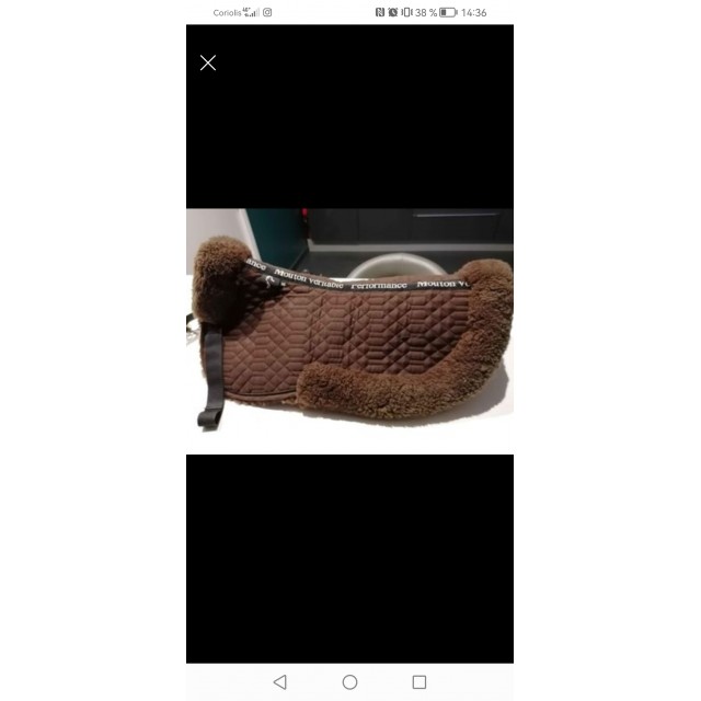 Amortisseur mouton véritable