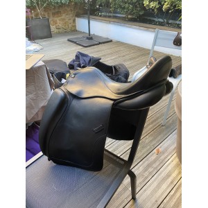 selle dresssge tattini stuttgart