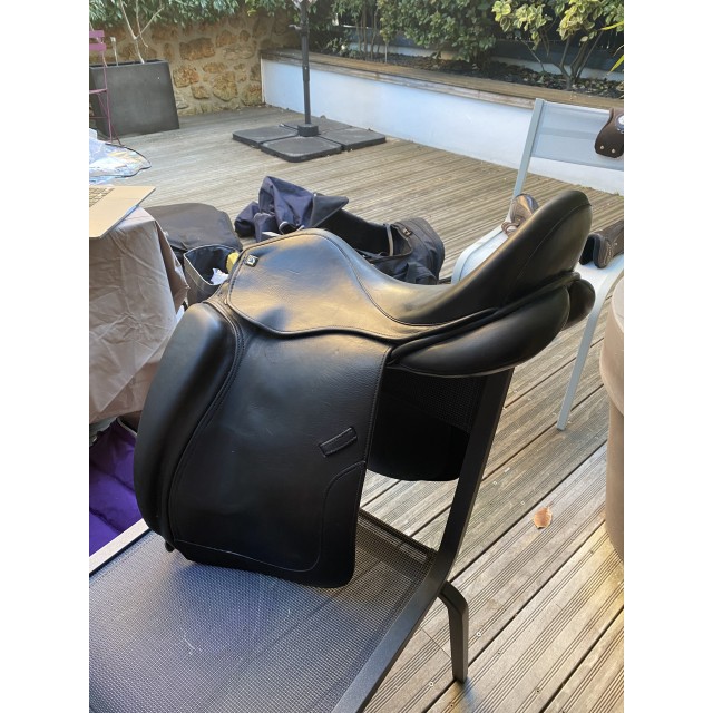 selle dresssge tattini stuttgart