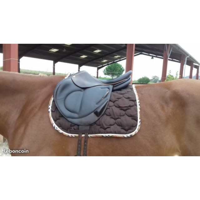 Selle CSO