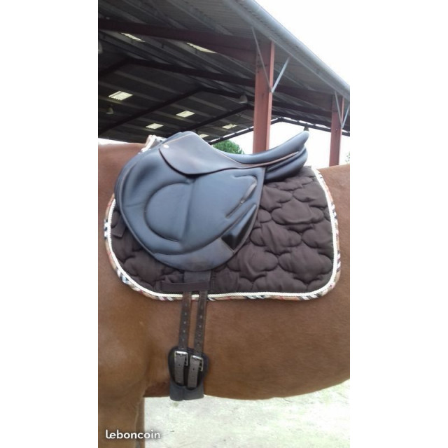 Selle CSO