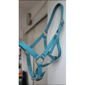 Licol décathlon neuf