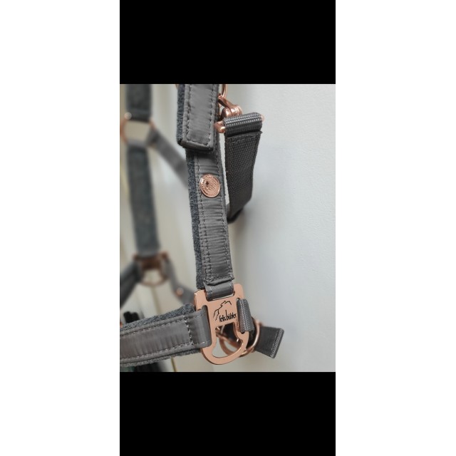 Licol Félix bühler(Kramer)