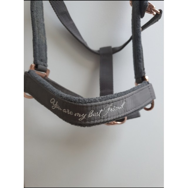 Licol Félix bühler(Kramer)