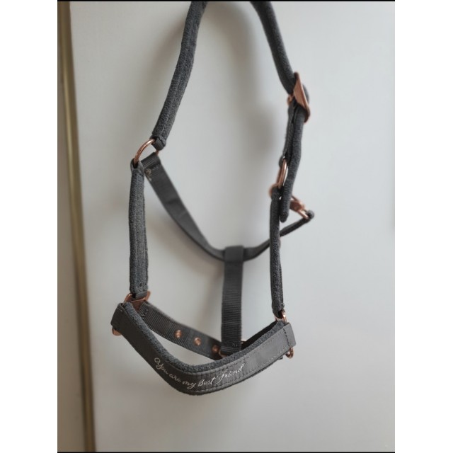 Licol Félix bühler(Kramer)