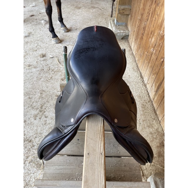Selle Équipe modèle « évolution » 2020