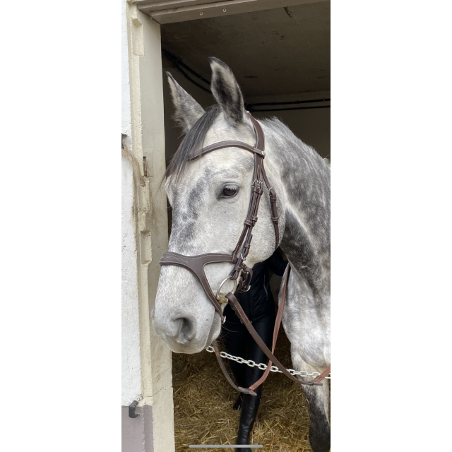 Bridon Montar Monarch Full