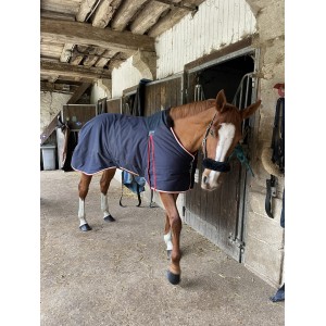 Couverture Penelope 400 grammes