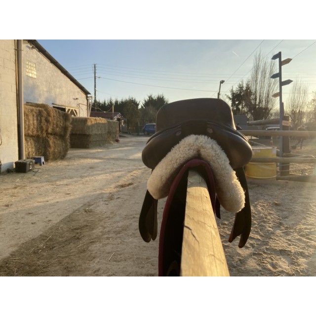 Selle Privilège 17,5p