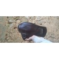 selle forestier aachen 16,5 neuve