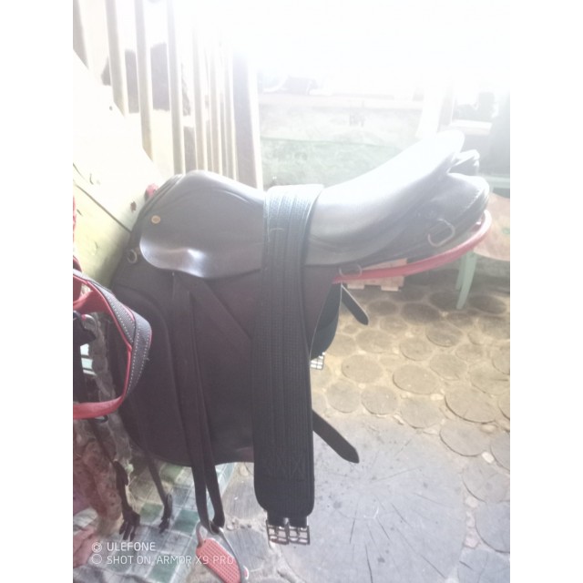 selle anglaise Terry's