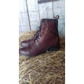 Boots Ariat