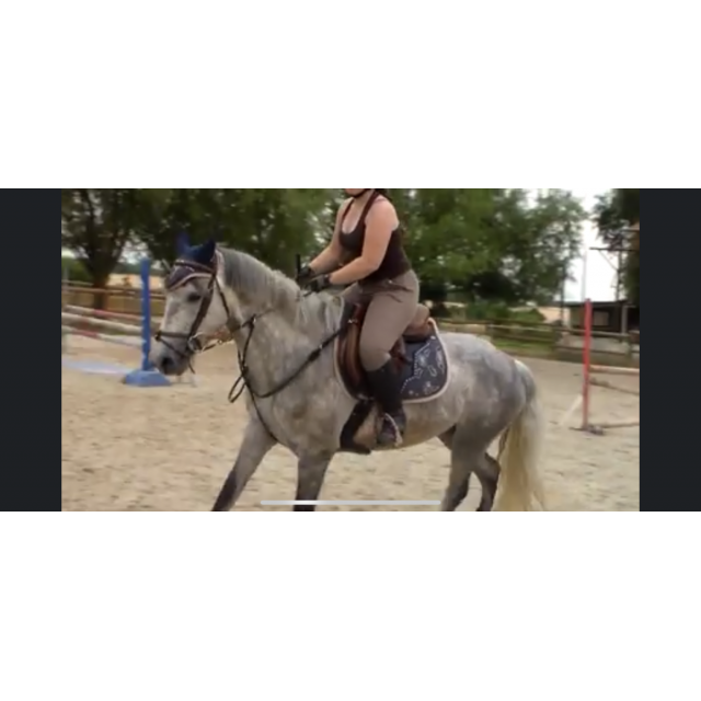 Tapis et bonnet animo