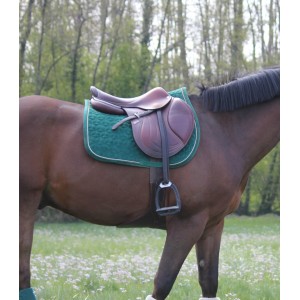 ensemble tapis bande kentucky