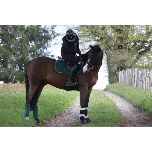ensemble tapis bande kentucky