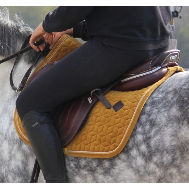 ensemble tapis bande kentucky