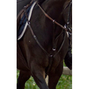 Collier de chasse martinguale