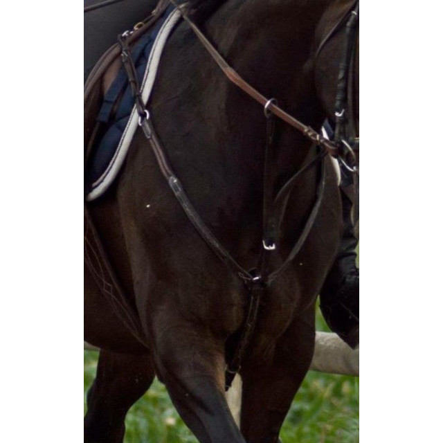 Collier de chasse martinguale