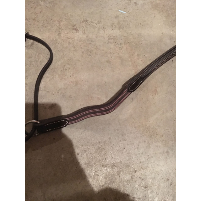 Collier de chasse martinguale