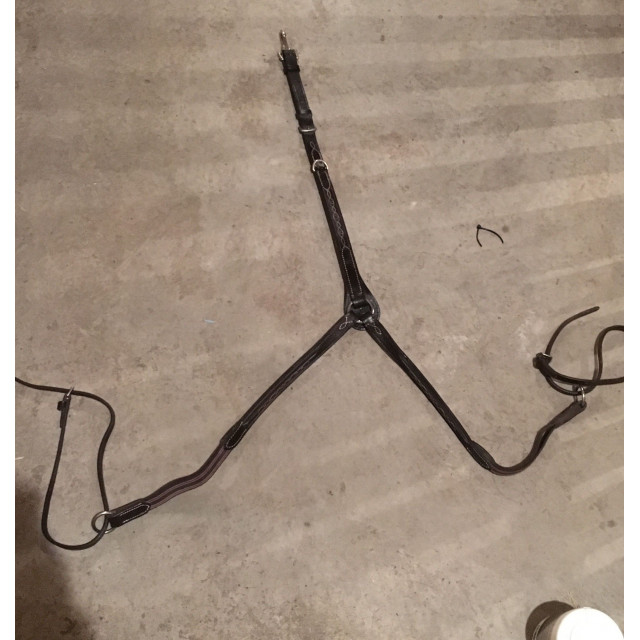 Collier de chasse martinguale