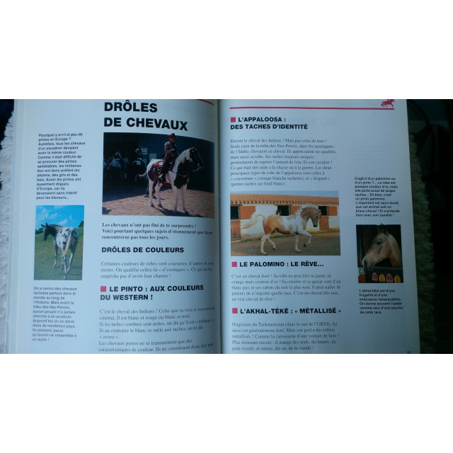 Copain des Chevaux / Ballereau et Delaborde