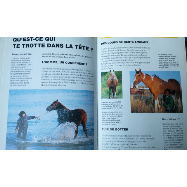 Copain des Chevaux / Ballereau et Delaborde