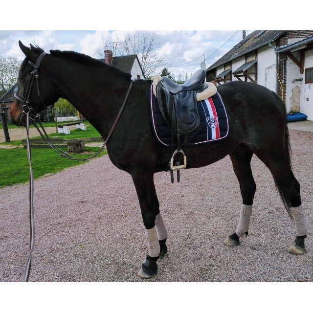 Selle de Dressage Antarès