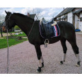 Selle de Dressage Antarès