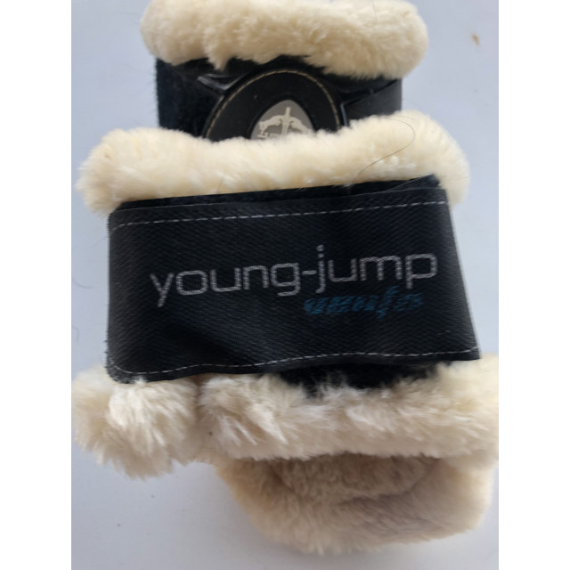 Veredus save the ship