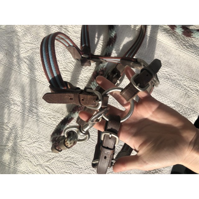 Licol taille poney, bleu et marron, pièces en cuir